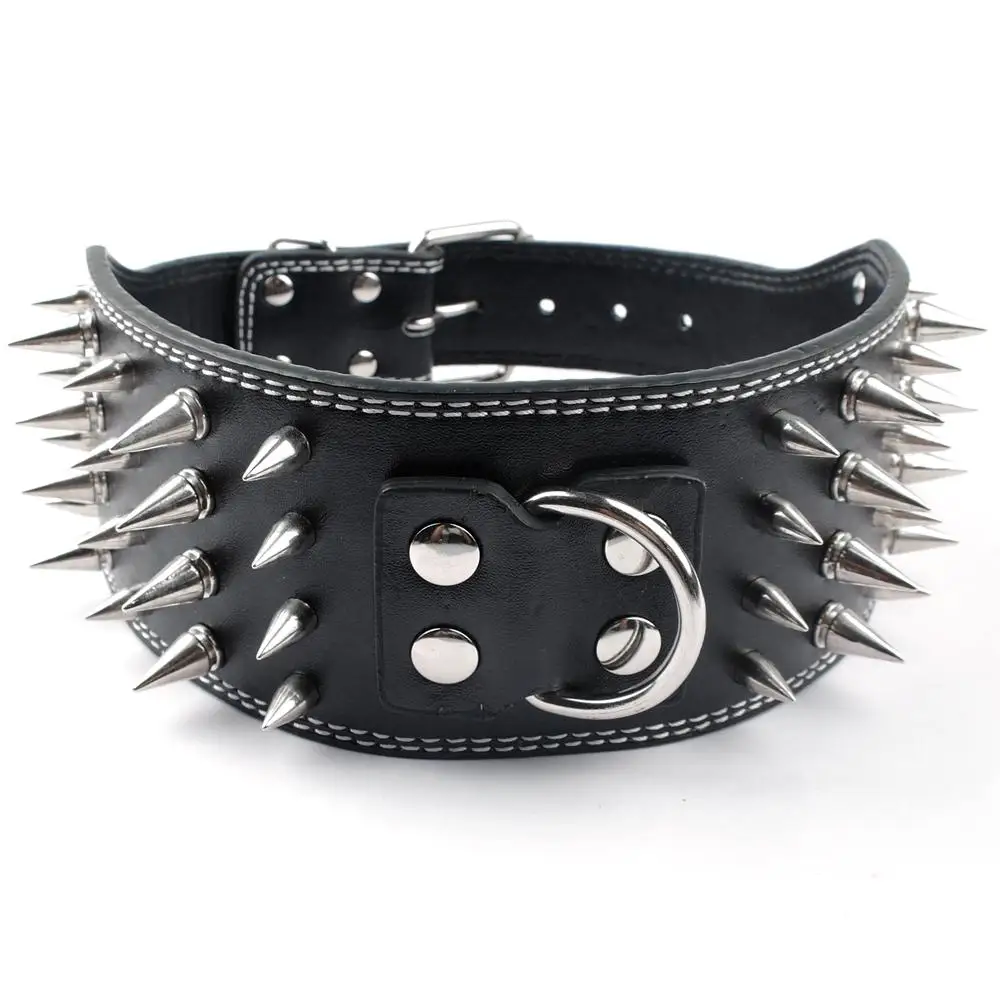 wide band dog collar