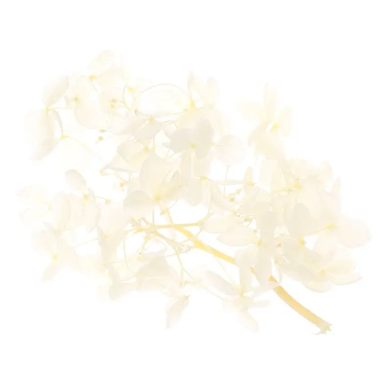 2SS304249-CP