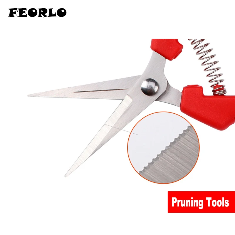 pruning tools  4