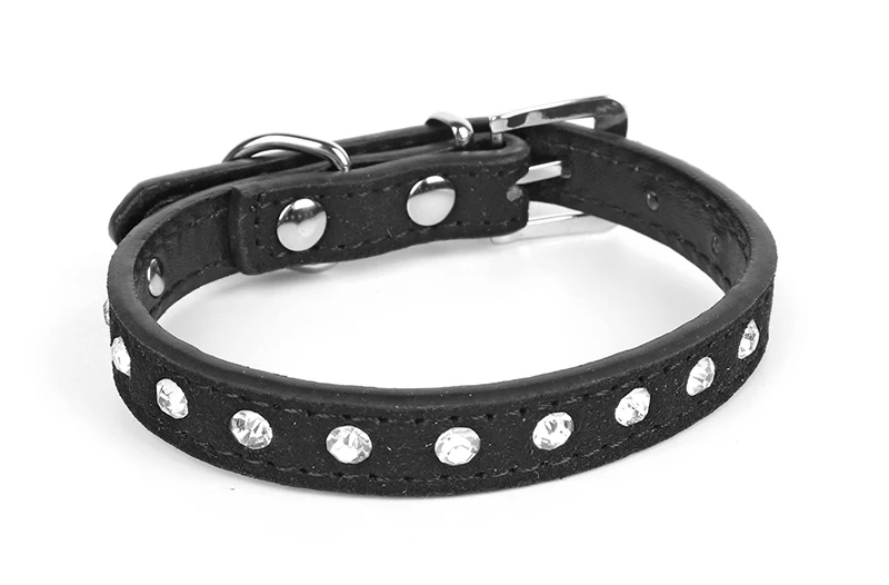 dog-collor-30285d8