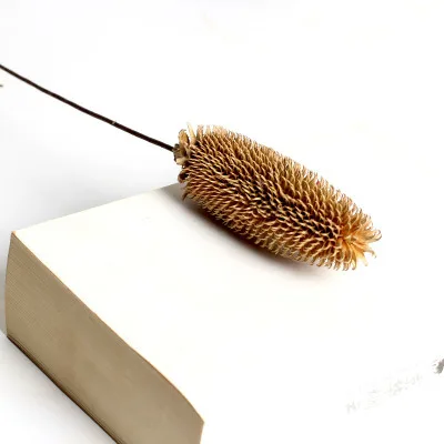 Brown dried branch 1 шт. сушеные цветы из натурального соснового конуса лотоса желудь ручной работы декоративные цветы Secas для украшения дома Diy аксессуары для рукоделия - Цвет: Brown dried branch