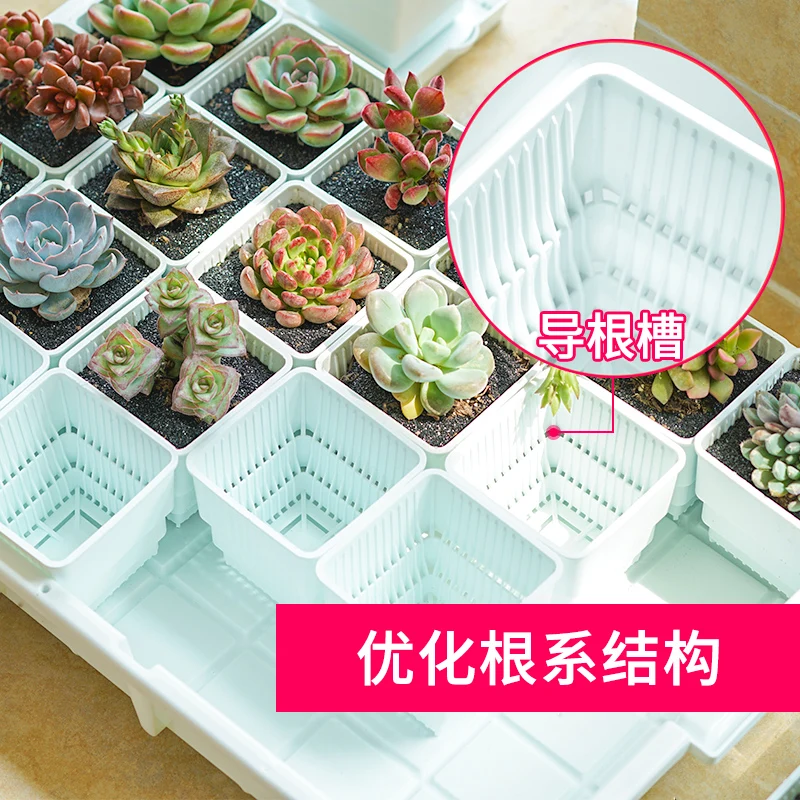 

Control root multi-meat flowerpot combination creative breathable meat small flowerpot