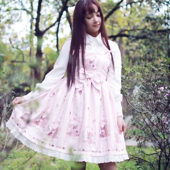 

Free Shipping 2019 The New Hit Manufacturers Wholesale Printed Lolita Lovely Pine Monogatari Squirrel Women's Wear Braces Skirt