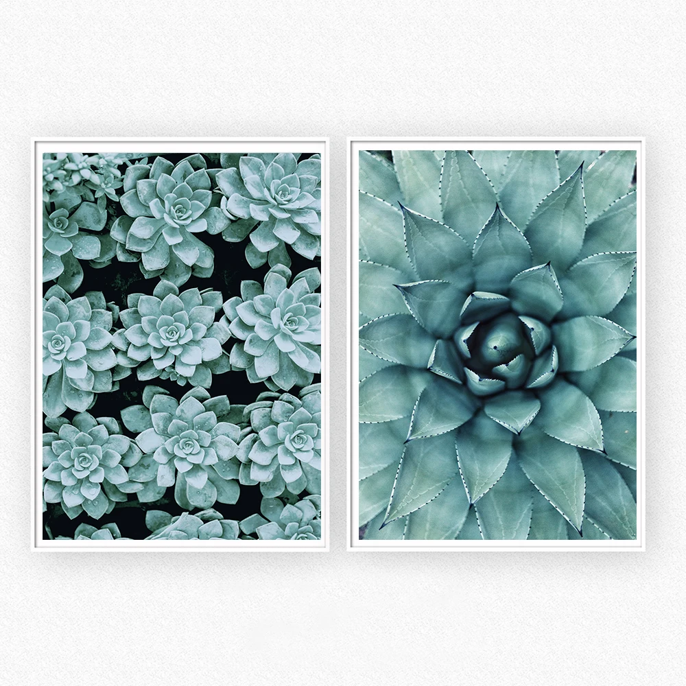 

Cuadros Decoracion Salon Aloe Green Posters and Prints Cactus Canvas Painting Wall Art Print Plant Wall Pictures For Living Room