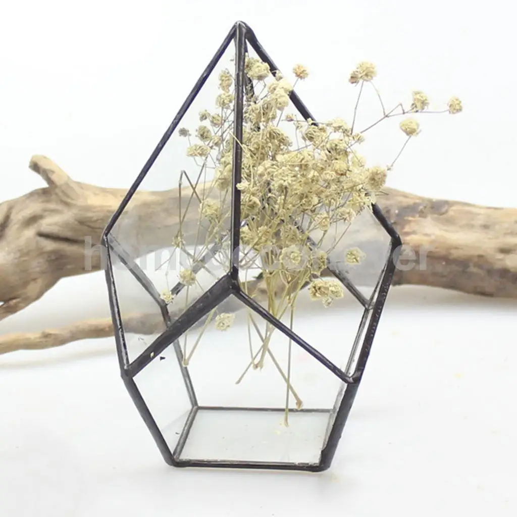

Geometric Shape Glass Flower Pot Terrarium Box Succulent Plant Case Holder