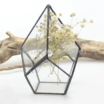 

Geometric Shape Glass Flower Pot Terrarium Box Succulent Plant Case Holder