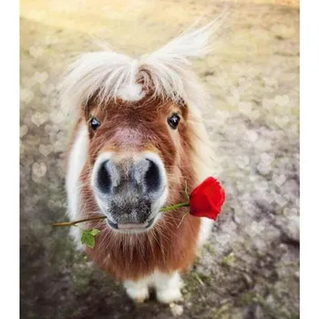 

5D diy round Diamond Painting Cross-stitch full square drill Lovely Horse Diamond Painting mosaic Rhinestones Embroidery v1718