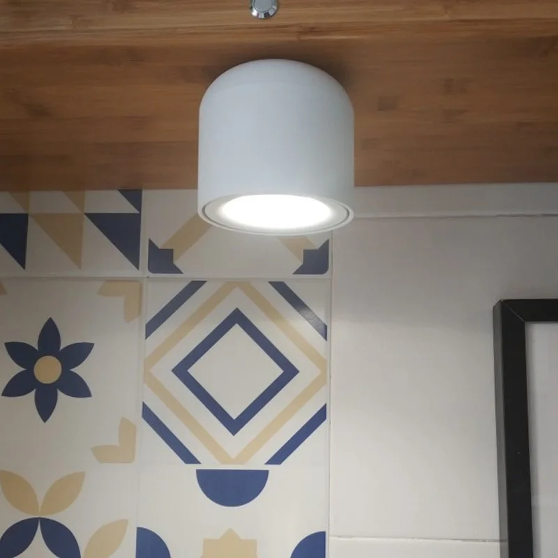 Aisilan Led Downlight Ceiling Spotlights Living Lamp Nordic Led Downlight Ceiling Spotlights