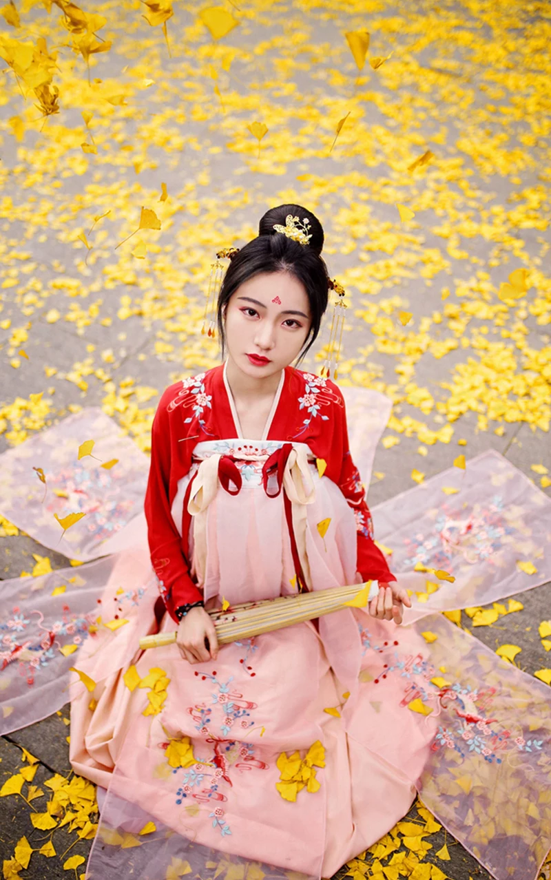 Hanfu костюмы китайский традиционный старинный платье женская одежда косплэй сказочный костюм танец этап династии Тан наряд Dqs1630