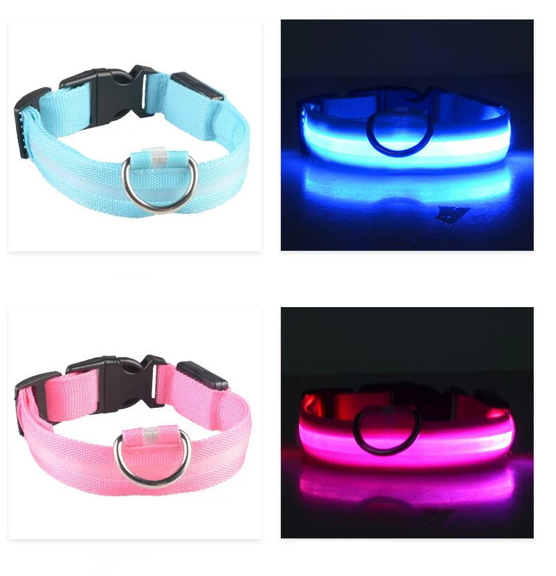 dog collar 1 (3)