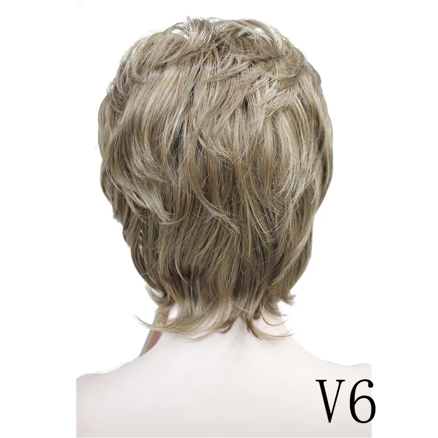  E-VEGA v6 (5)