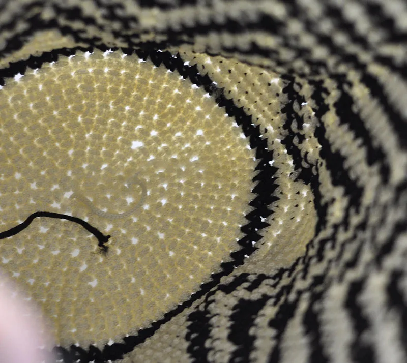 women bags fringe tassel shoulder crossbody bag handbags (5)