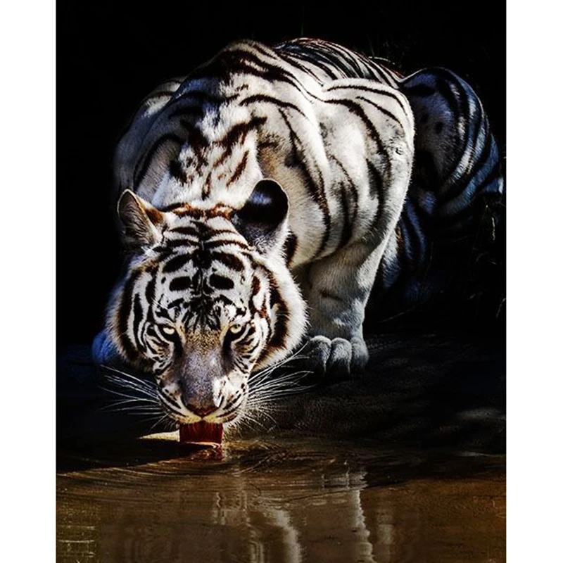 

Full Square Canvas Size Diamond 5D DIY Diamond Painting White Tiger Diamond Embroidery Cross Stitch Rhinestone Mosaic Home Decor
