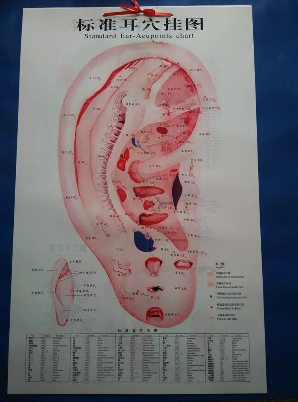 Ear Acupuncture Chart Free