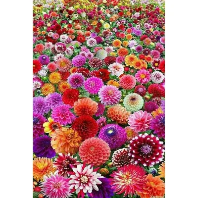 

DIY Diamond Embroidery Flowers Scenery 100% Full DIY 5D Diamond Painting Round drill NEW Home Decor Gift