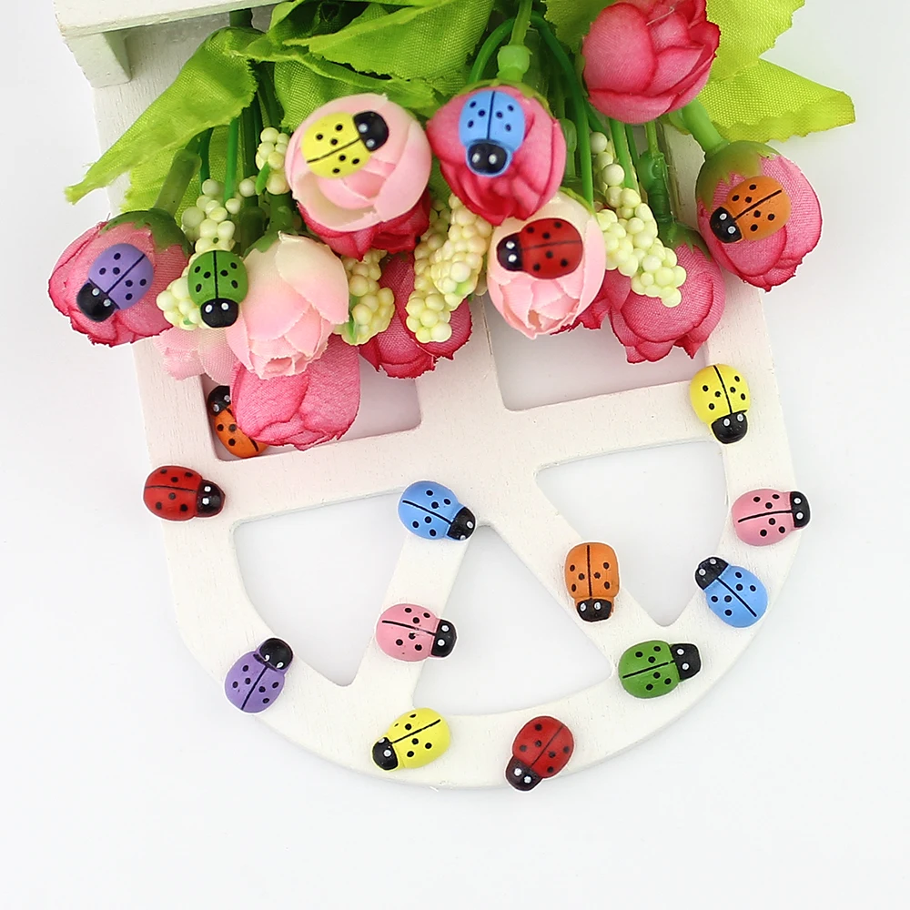 ColorfulWooden Ladybug 