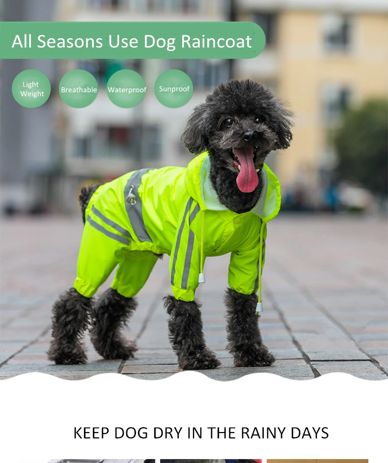 dog raincoat for small dogs (1)