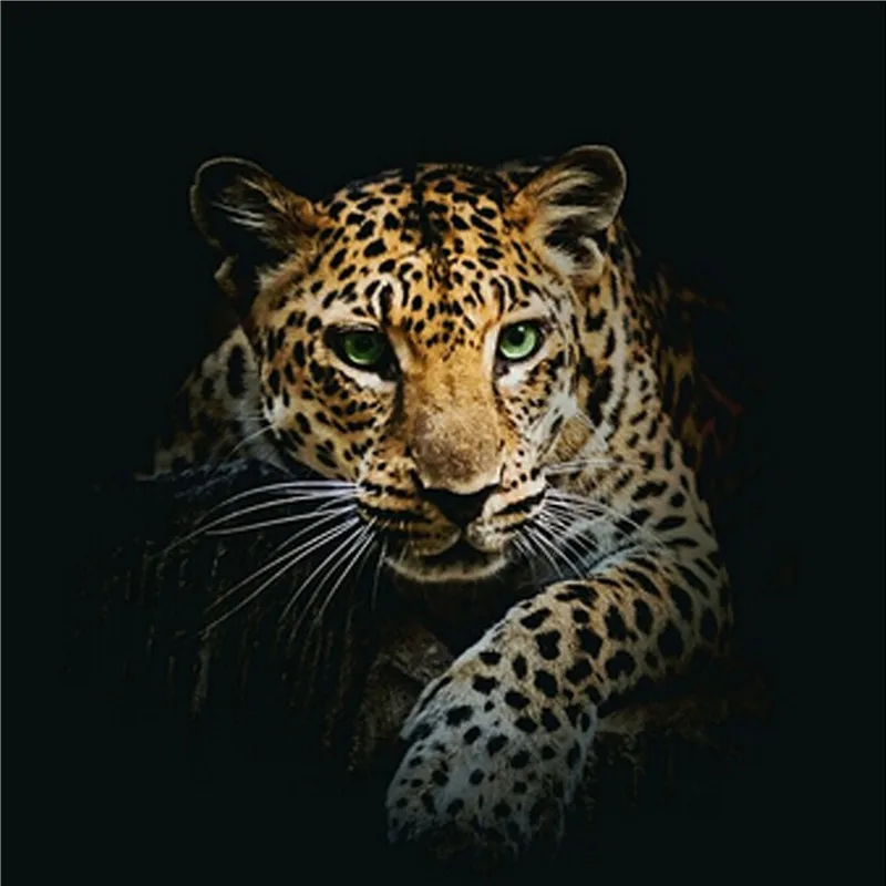 DIY Алмазная картина стразы вышивка тигр волк картины алмазная крестом собака