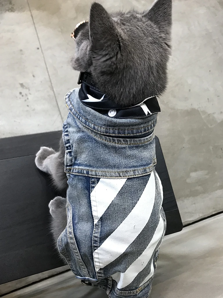 

Cute Pet Denim Costume for Cat Pet Clothes Cat Costume Pet Dog Cat Clothing Cat Hoodie Pet Cat Clothes Ropa Para Gato Pet