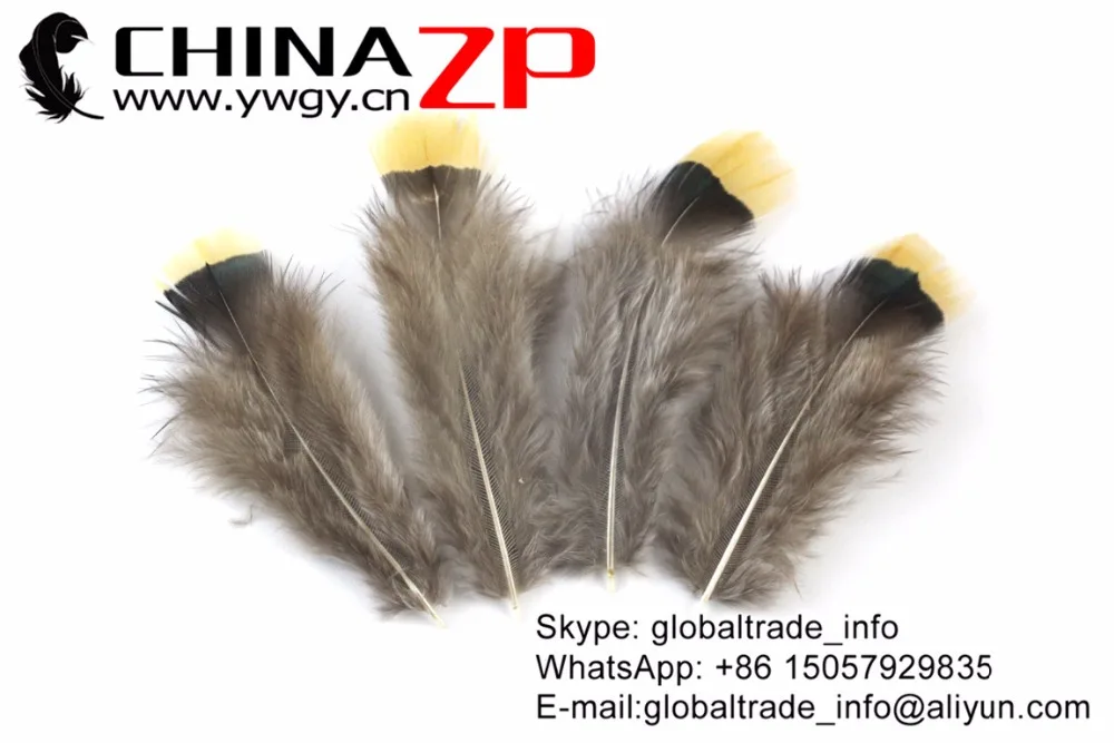 9 Natural  Lady Amherst Pheasant Plumage Wholesale Feathers (1)