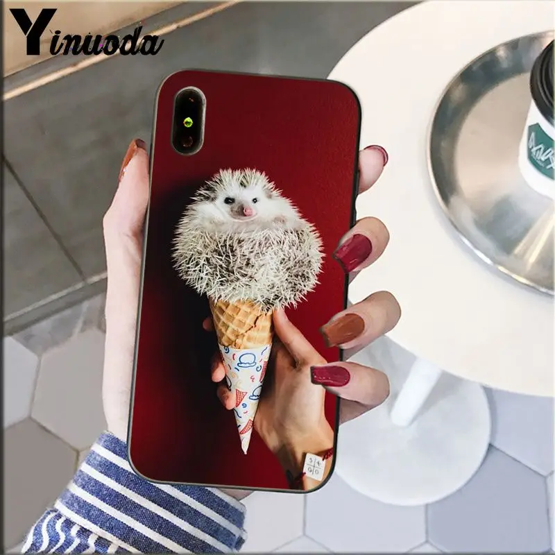Hedgehog Cute in Teacup Animal Art