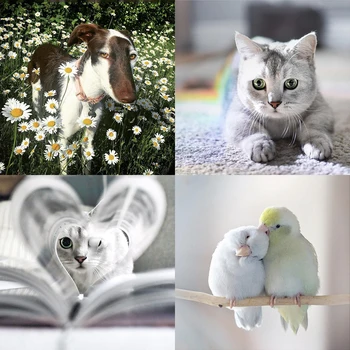 

INS wooden Jigsaw puzzle 520 pieces Animals Cat adults children toys home decoration collectiable Assembling puzzles toys Gifts