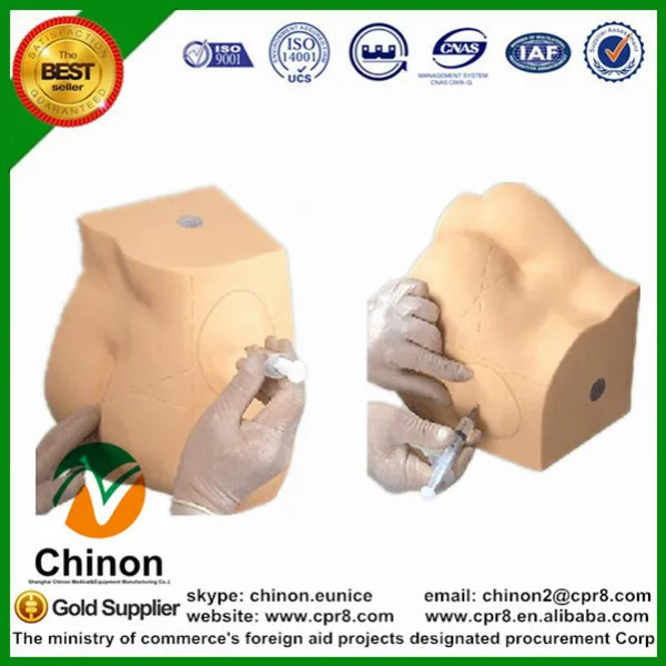 

BIX-H1T Buttocks Lntramuscular Lnjection Simulator MQ062