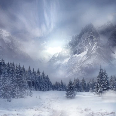 10x10FT Grey Clouds Sky Mountain Peak Valley Snowy Pine Forest Trees Custom Backdrop Photo Studio Background Vinyl 300cm x | Электроника