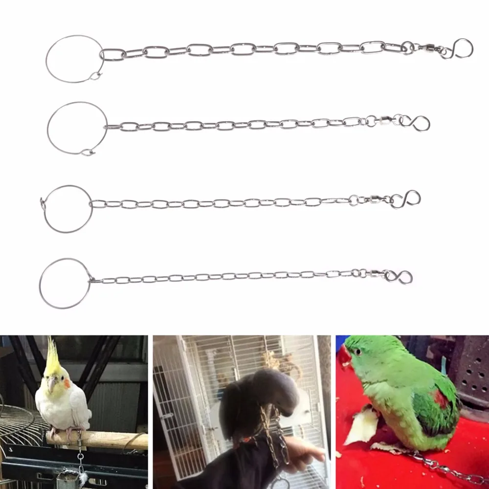 

1Pc New Bird Parrot Foot Chain Stainless Steel Ankle Foot Ring Stand Outdoor Flying Training Bird Accessories S/M/L/XL C42