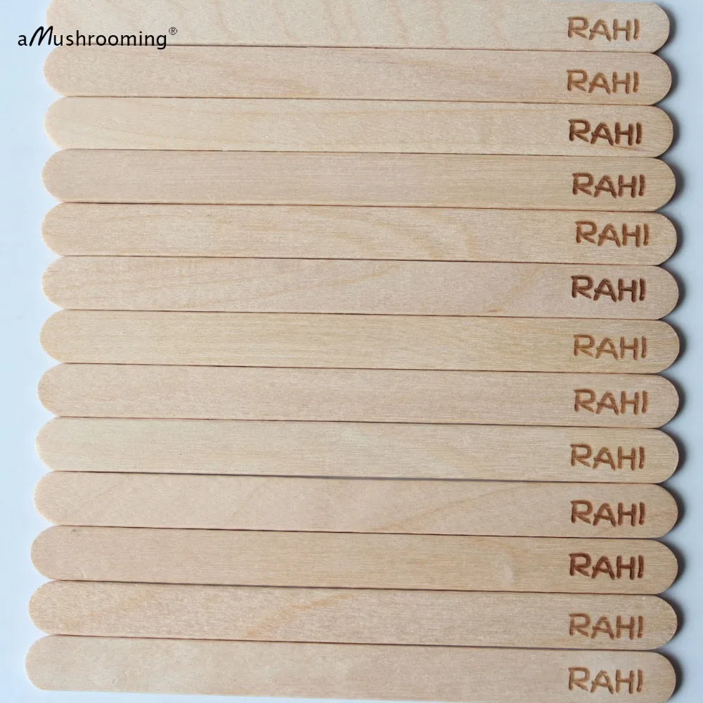 popsicle sticks (2)