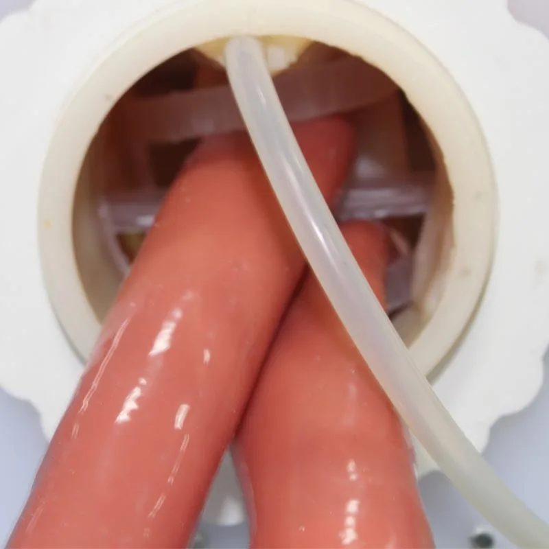 intubation model  (2)
