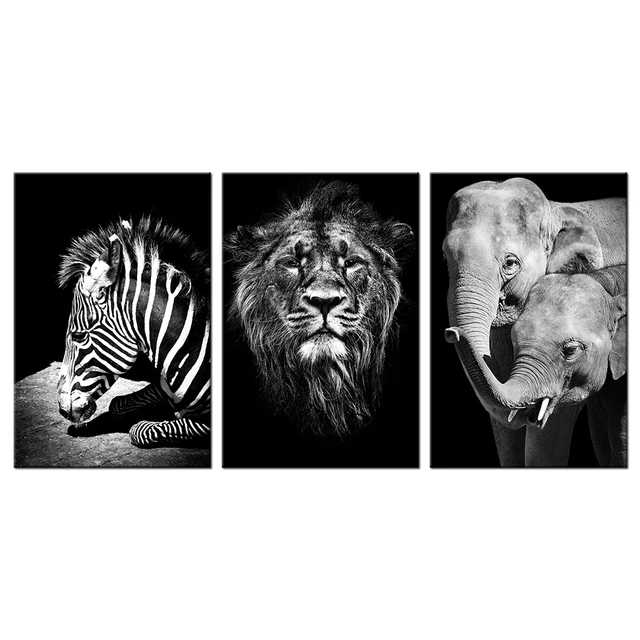 3 Piece Canvas Wall Art Poster Print Wildlife Elephant Zebra 3 Piece Canvas Wall Art Poster Print Wildlife Elephant Zebra Pictures Black White Lion Head Portrait