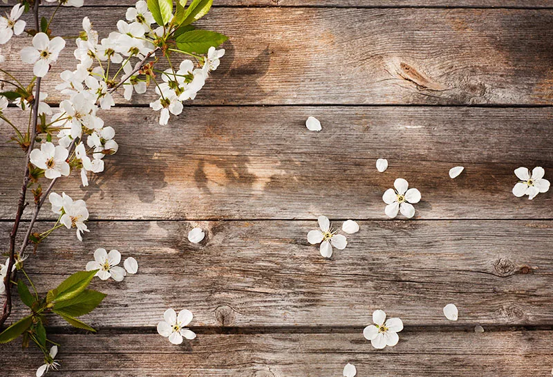 7x5FT White Pear Flowers Branch Wood Planks Timber Wall Spring Custom