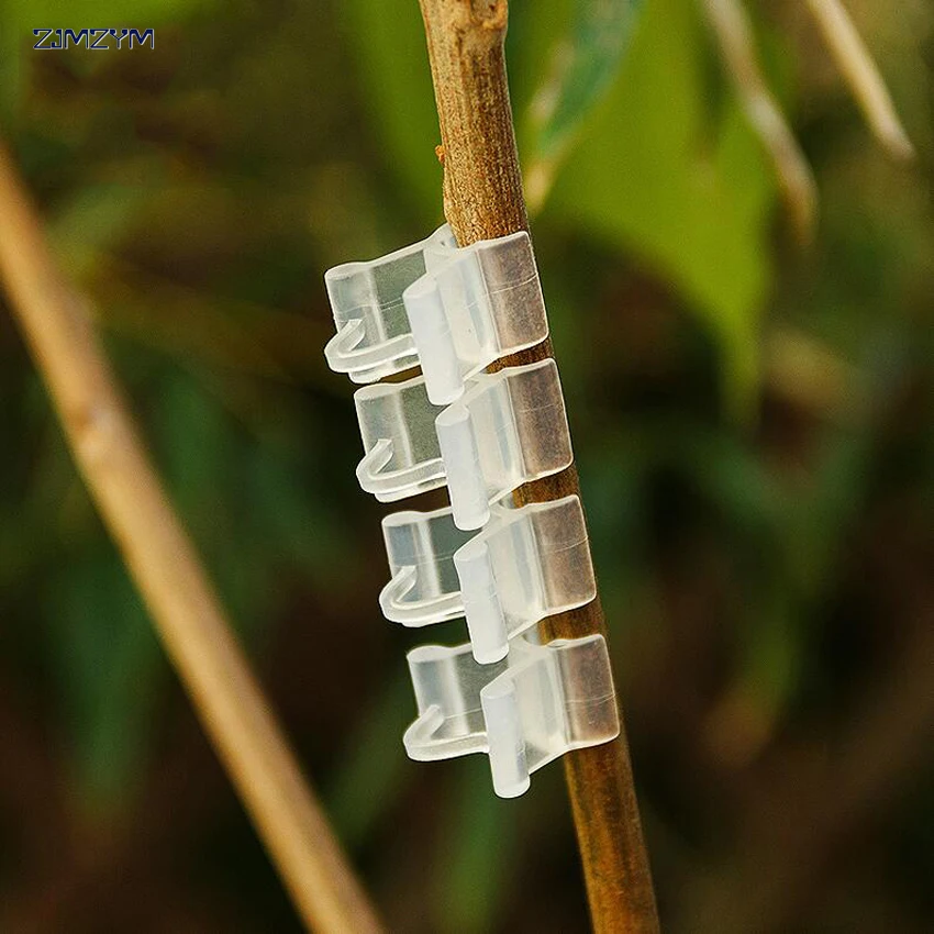 100PC/set New Transparent Durable Plastic Grafting Clips for Garden Vegetable Flower Vine Bushes Plants Tool Equipment