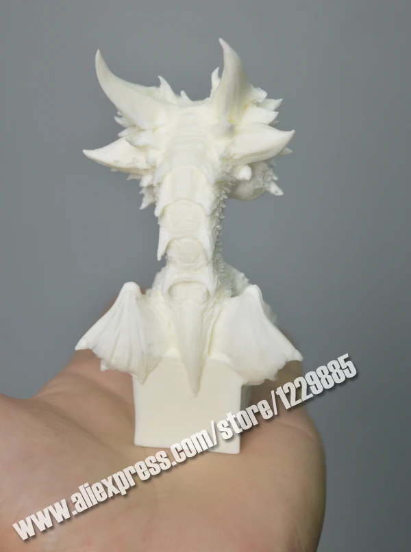 Prickly dragon 4
