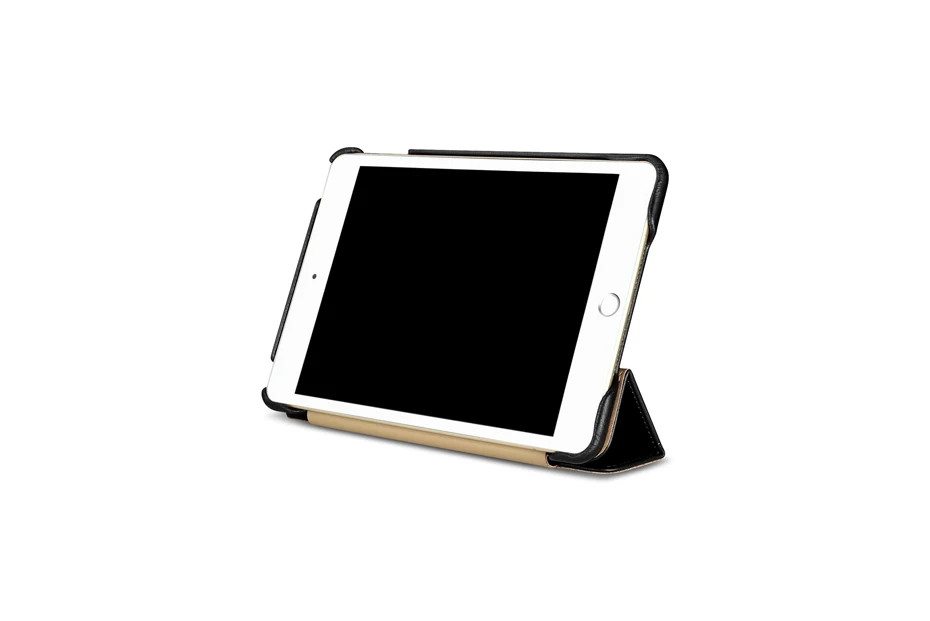 iPad mini 5  Vintage Series(2019)-013