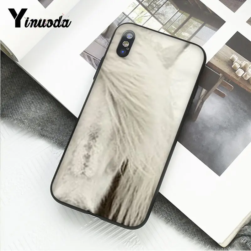Horse Animal Printed