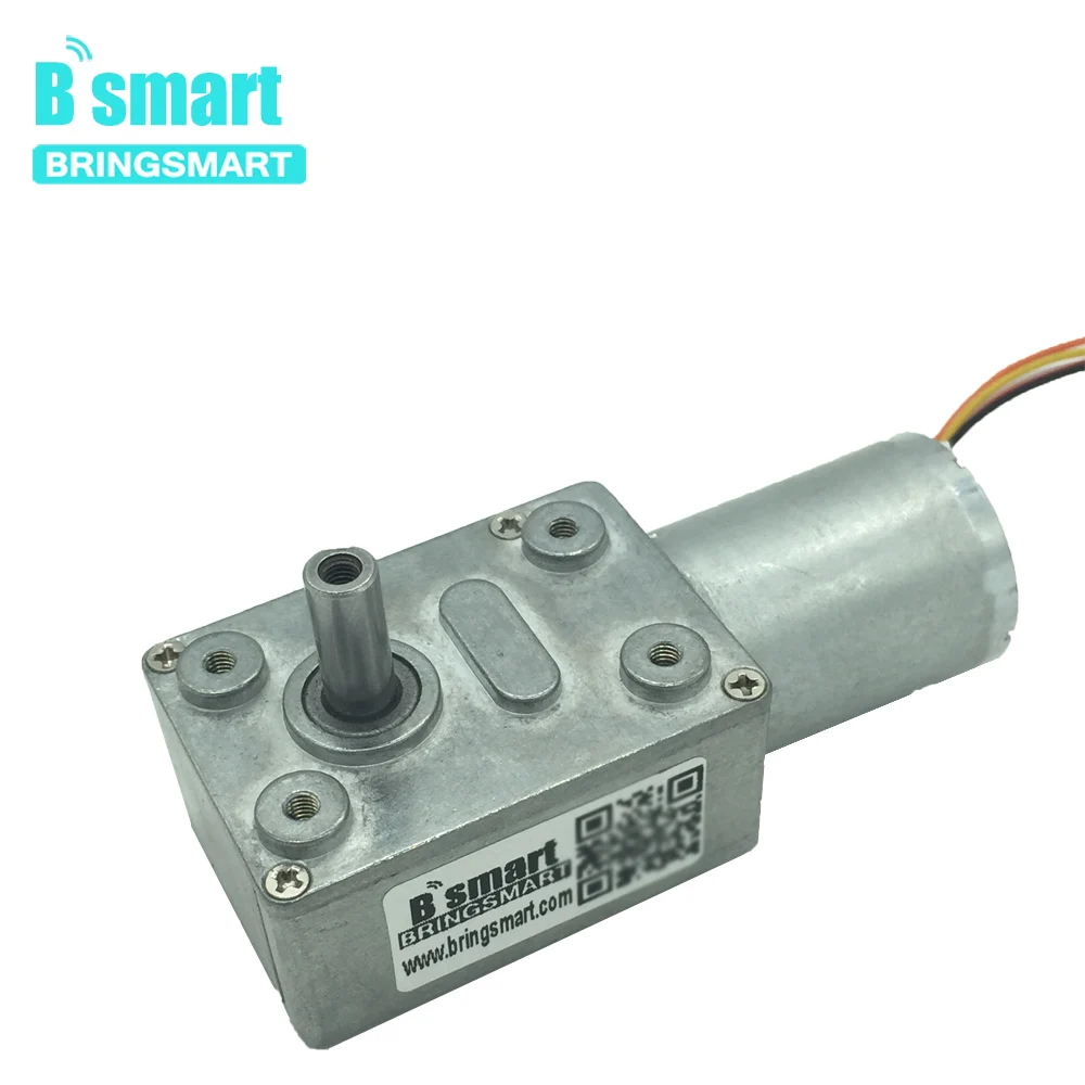 

Bringsmart JGY-2430 with Brake Electrico Motor low speedDC 12V Brushless Worm Gear Motor 24V Self-lock Reversed Gearbox for DIY