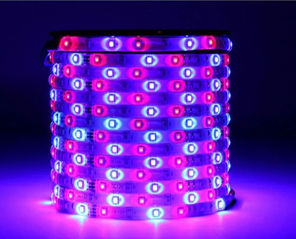 71twIbWPzQL._SL1251_