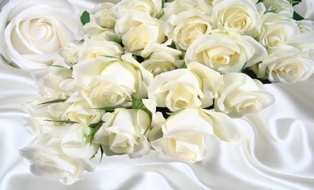 Custom 3d photo wall paper White silk roses Living room TV backdrop bedroom 3d photo wallpaper Home Decoration Custom 3d photo wall paper White silk roses Living room TV backdrop bedroom 3d photo wallpaper Home Decoration