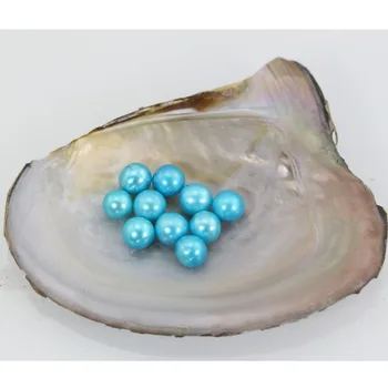 

Wholesale Loose Pearl Grade AAA 6-7 mm Round Freshwater Dyed Colorful For DIY Pearl Jewelry Beads Birthday Gifts Blue LR010