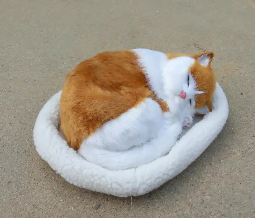 sleeping cat toy