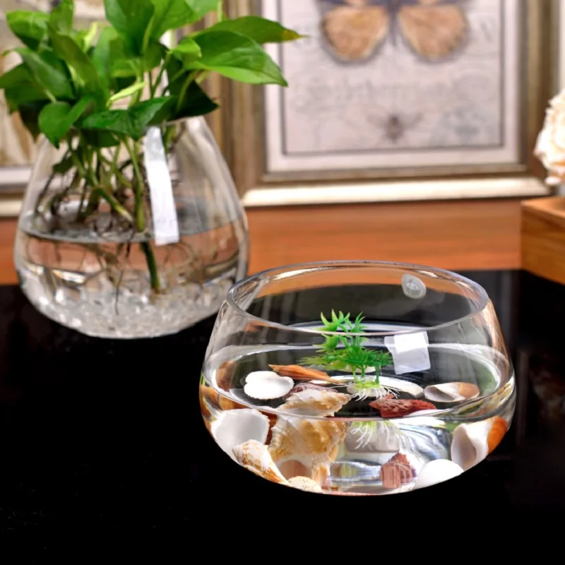 Creative fish tank round glass vase hydroponic upscale turtle goldfish