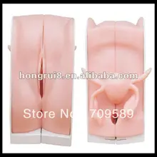 2013 продвинутая модель управления по контрацепции