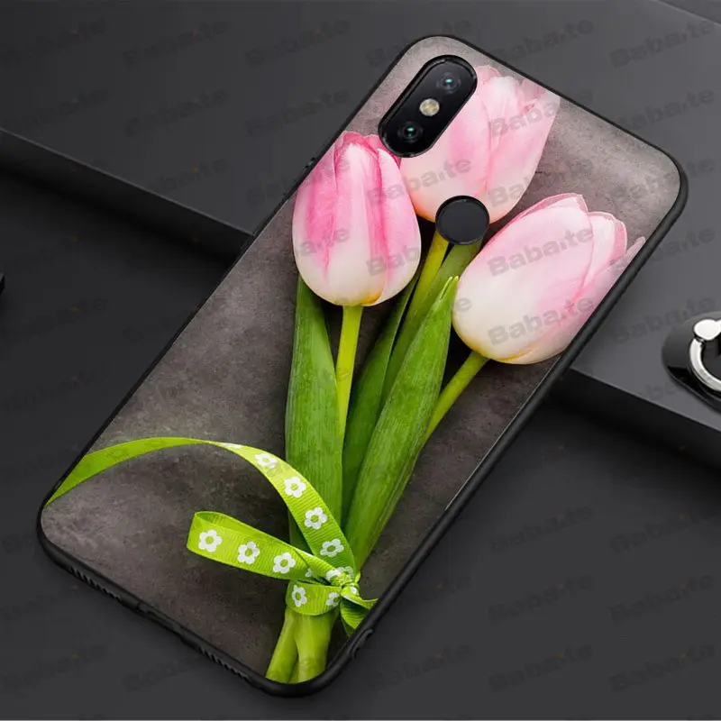 tulip flower 