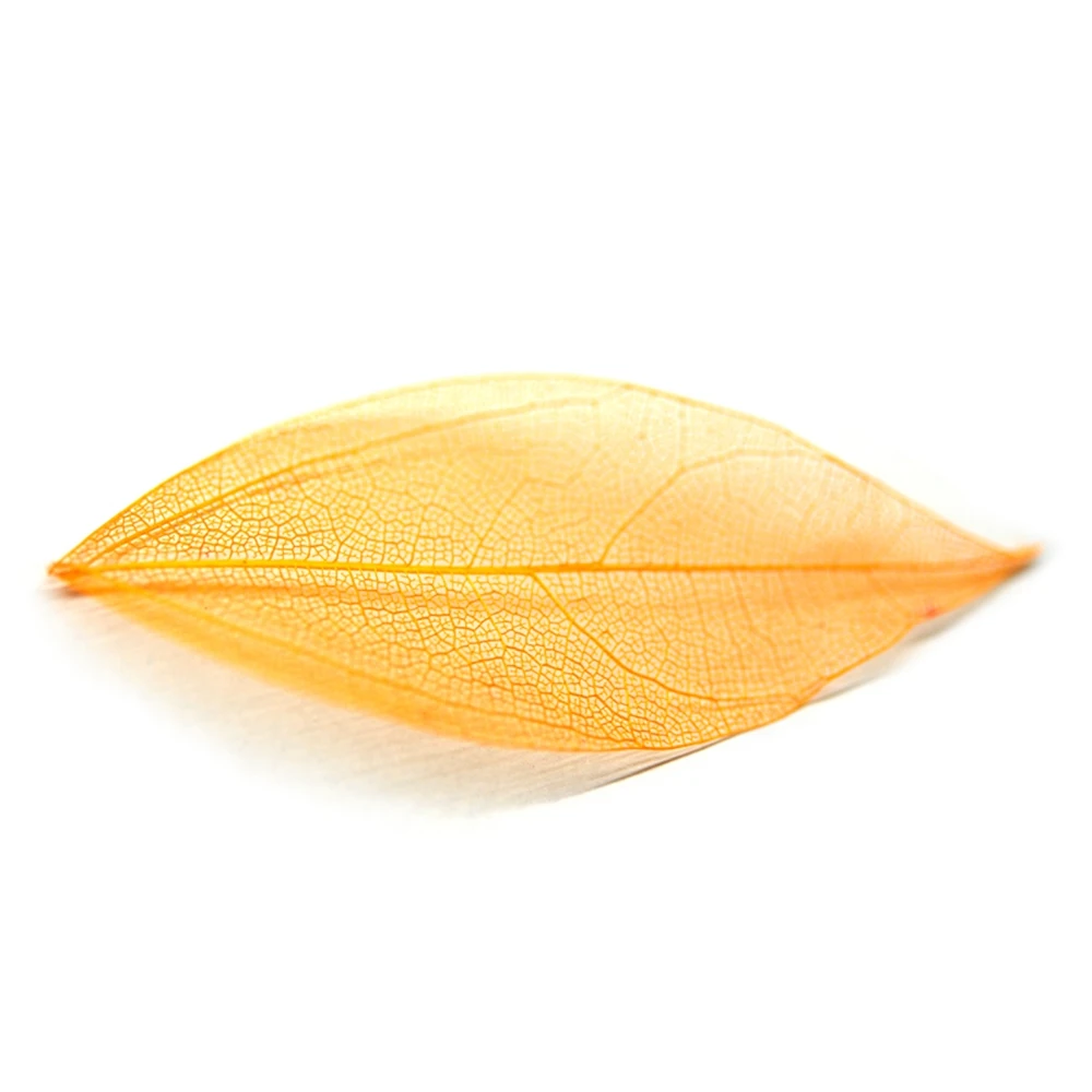 Украшения для ногтей Стразы сушеные цветы лист аксессуары для ногтей 3D дизайн аксессуары камни Кристаллы принадлежности для маникюра - Цвет: Leaves Orange