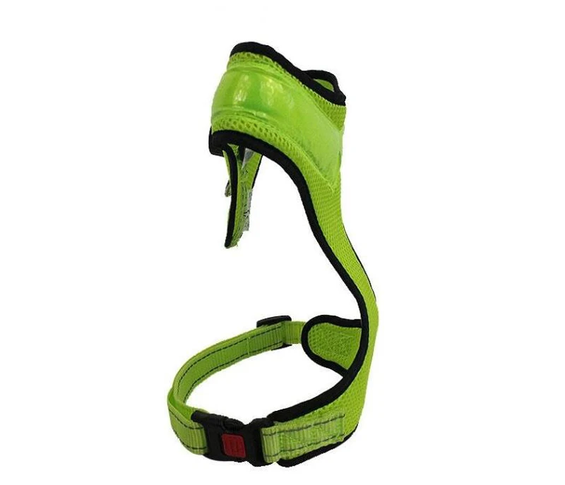 dog supplies  (11)
