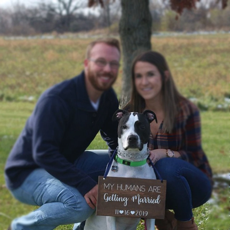 My Humans Are Getting Married Wooden Sign Vinyl Decal Wedding Decoration