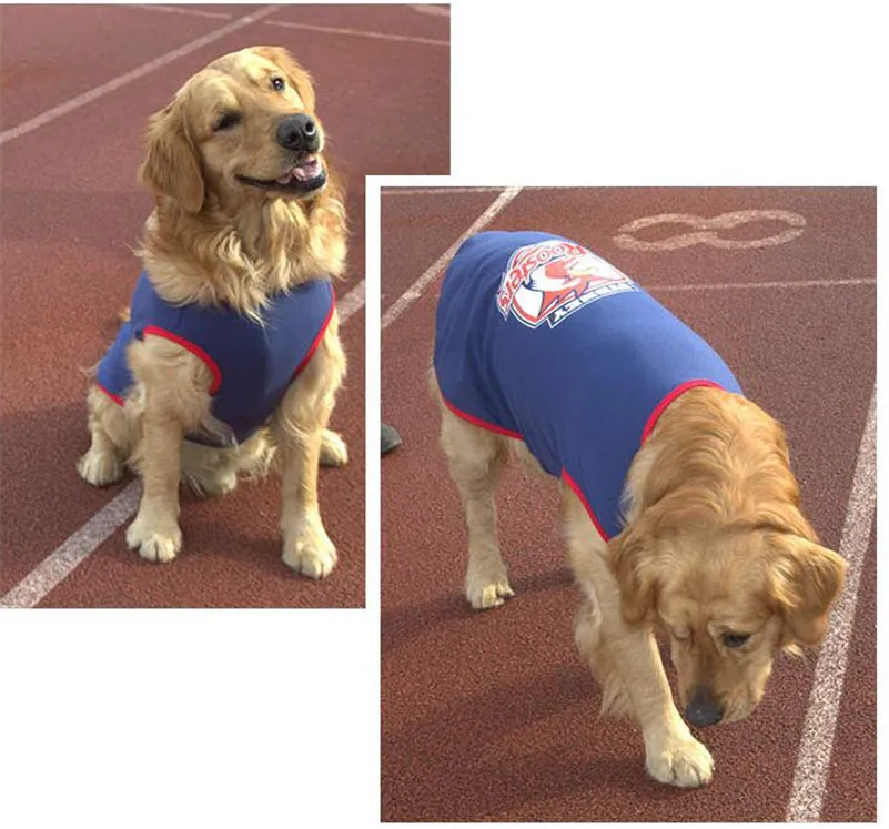 Large dog summer clothes  (6)