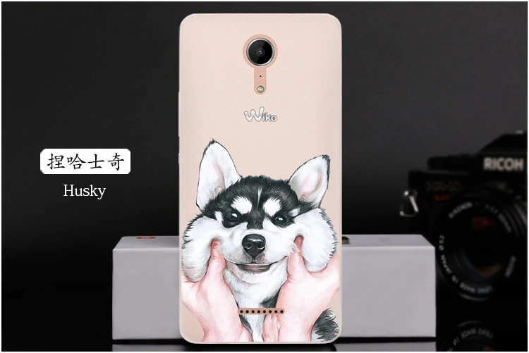  Husky